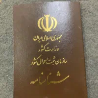 شناسنامه گمشده