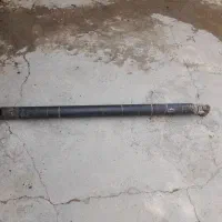 قاردان آردی