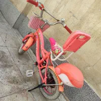 دوچرخه سالم 12