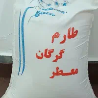 برنج طارم گرگان