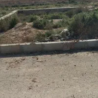 زمین 264متراست