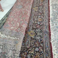 قالی ۱۲ متری|فرش|گلبهار, شهر جدید گلبهار|دیوار