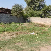 فروش زمین مسکونی روستایی داخل بافت|فروش زمین و ملک کلنگی|فاضل آباد, |دیوار