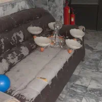 دوعدد لوستر با یک چراغ وسط آشپز خانه
