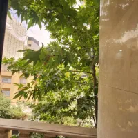 ۱۸۰ متر قلب کامرانیه شمالی فول مشاعات اکازیون|فروش آپارتمان|تهران, کامرانیه|دیوار