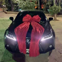 تشریفات مجلس تولد تن پوش دلقک بادکنک آرایی|خدمات پذیرایی، مراسم|شیراز, صنایع الکترونیک|دیوار