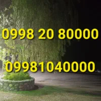 سیمکارت رند خاص ۲ عدد 0000