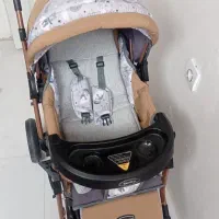 کالسکه دلیجان