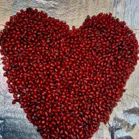 دانه انار یلدایی