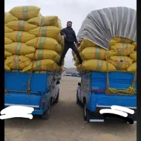 فروش کاه درجه یک