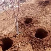 چاله کن نهال زن فنس کن گودال کن یاماها مدلHL80اصل|ماشین‌آلات صنعتی|تهران, شهرک ولیعصر جنوبی|دیوار