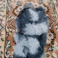 لبوبو سکرت|اسباب‌‌بازی|قم, باجک دو|دیوار
