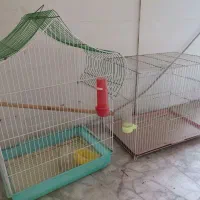 قفس پرنده