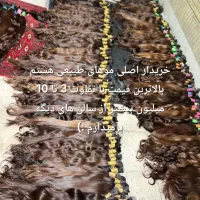 فروش مو طبیعی بدون واسطه اصلی کد ۶۶۶۶