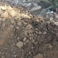 کود گاو گوسفند قاطی|لوازم جانبی حیوانات|جیرفت, |دیوار