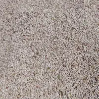 لوبیا چیتی ارتشی|خوردنی و آشامیدنی|فشاپویه, |دیوار