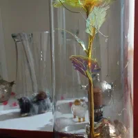 رز دکوری چراغ دار