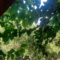 خانه ی ویلایی دلباز