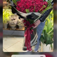 جشنواره رزطبیعی فقط شاخه ای ۲۰هزارانواع گلهاطبیعی|گل و گیاه طبیعی|کرج, گوهردشت|دیوار