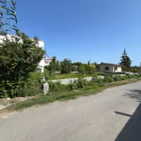 ۲۲۰ مترمربع زمین کاربری مسکونی نزدیک دریا|فروش زمین و ملک کلنگی|رامسر, |دیوار