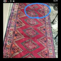 فرش دستباف بافت|فرش|تهران, خواجه نظام الملک|دیوار