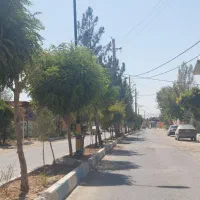 ۲۳۴مترزمین ۴دیواری برای ساخت سهیلیه زعفرانیه|فروش زمین و ملک کلنگی|کرج, دهقان ویلا|دیوار