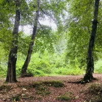 راهنمایی طبیعیت گردی