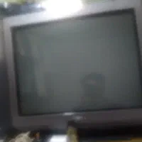 تلوزیون