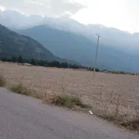 فروش فوری زمین باغی