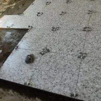 کاشیکاری و نمای سرامیکی ساده و موزاییک|خدمات پیشه و مهارت|آذرشهر, |دیوار