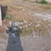 زمین فروشی در خدمت هستم گرگان روستای نودملک|فروش زمین و ملک کلنگی|سرخنکلاته, |دیوار