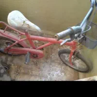 دوچرخه درحدنو|دوچرخه، اسکیت، اسکوتر|پرند, فاز ۶|دیوار