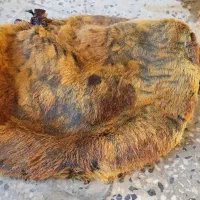 خیگ روغن و بدل