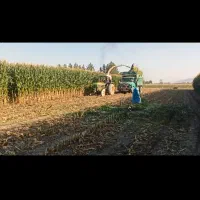 اجاره زمین گوجه|اجارهٔ دفتر صنعتی، کشاورزی، تجاری|مرودشت, رامجرد یک|دیوار