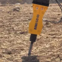 پیکومینی بیل