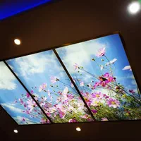 سقف کاذب آسمان مجازی ماربل شیت قرنیز قاب ترمووال|خدمات پیشه و مهارت|قدس, شهر‌قدس|دیوار