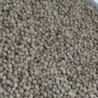 گردوخیس وخشک فقط ۳۲۰ هزار