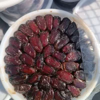 خرما کبکاب و خاصی بهبهان|خوردنی و آشامیدنی|اهواز, شهرک دانشگاه|دیوار