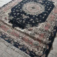 فرش دست دوم سید|فرش|مشهد, مصلی (کارمندان اول)|دیوار