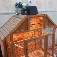 قفس جفت کن عروس هلندی