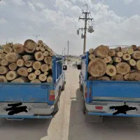 خرید چوب|خدمات باغبانی و درختکاری|گلبهار, شهر جدید گلبهار|دیوار