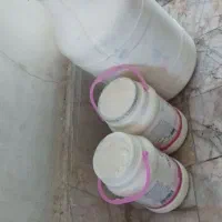 ماست پوستی|خوردنی و آشامیدنی|مشهد, طبرسی شمالی|دیوار