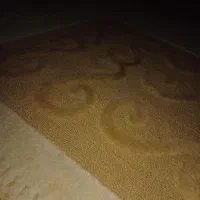 گلیم ۱۲متری