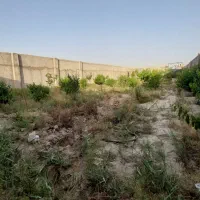 باغ چهاردیواری ۸۰۰ متر دهشاد شهریار نعمت آباد بکه|فروش دفتر صنعتی، کشاورزی، تجاری|شهریار, دهشاد بالا|دیوار