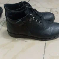 دو عدد کفش زنانه بالنسیاگا|کیف، کفش، کمربند|سمنان, |دیوار