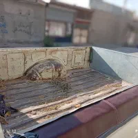 پیکان وانت|خودرو سواری و وانت|میاندوآب, |دیوار