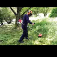 علف زنی باغات