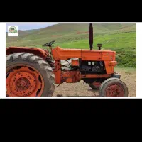 کارگر هیلتی