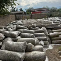 خوراک دام ذرت علوف ای گاو گوسفند