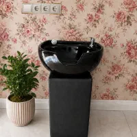 سرشور ایستاده